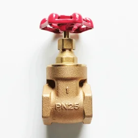 VAN CỬA ĐỒNG KITZ - PN25S
