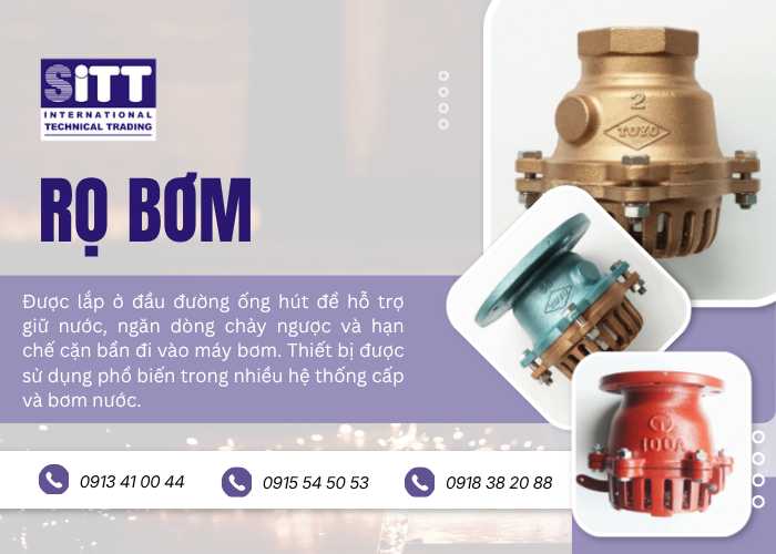 Rọ Bơm Là Gì? Cấu Tạo, Thông Số Kỹ Thuật & Cẩm Nang Lựa Chọn Van Chân Công Nghiệp